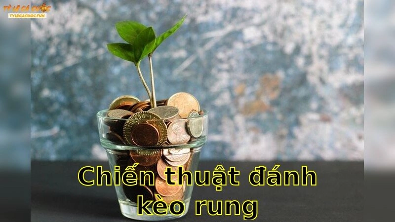 Chiến Thuật Đánh Kèo Rung – Tối Ưu Kỹ Năng Cá Cược 2025