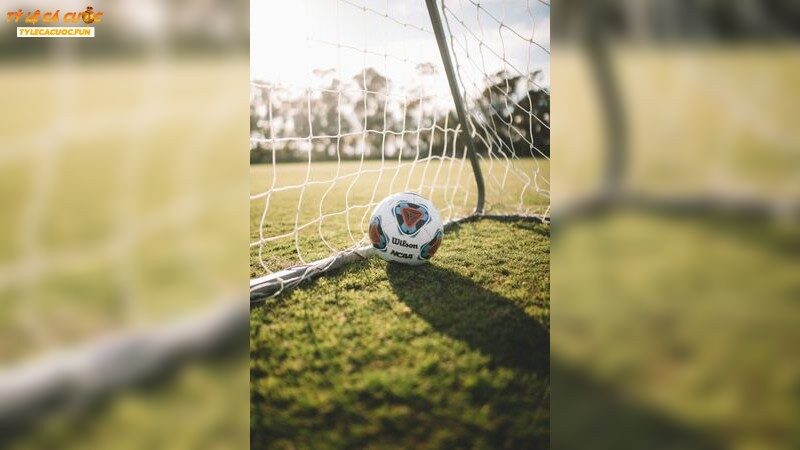 Công Dụng Của Cổng Game Uy Tín Trong Cá Cược Bóng Đá