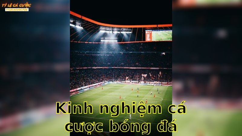 Kinh Nghiệm Cá Cược Bóng Đá - Khám Phá Bí Quyết Chuyên Nghiệp 2025