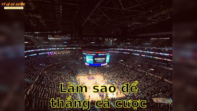 Làm Sao Để Thắng Cá Cược - Đột Phá Với Mẹo Đỉnh Cao 2025