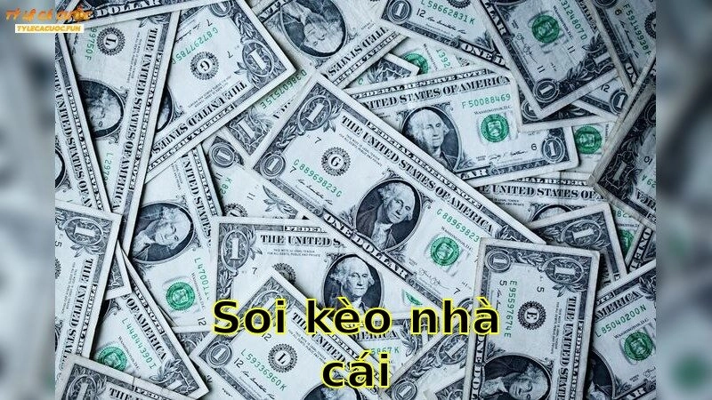 Soi Kèo Nhà Cái – Khám Phá Kèo Thơm Đánh Bại Nhà Cái 2025