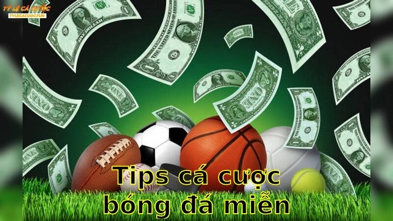 Tips Cá Cược Bóng Đá Miễn Phí – Khám Phá Cùng Chuyên Gia 2025