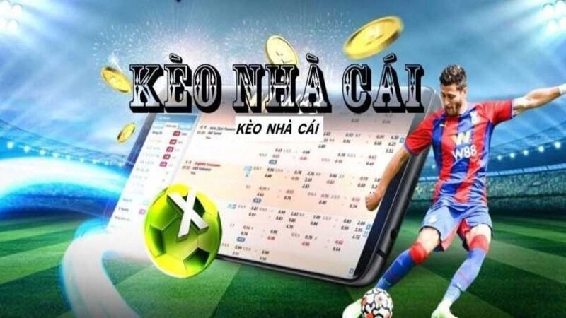 Tỷ lệ cá cược